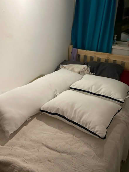 Photo of free New Pillows (West Norwood SE27) #1