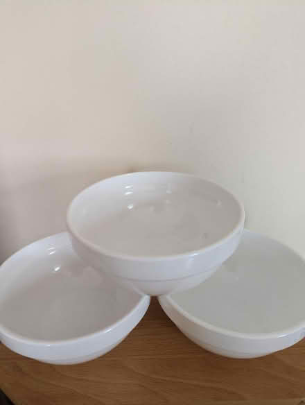 Photo of free Pudding bowls (Paignton) #1