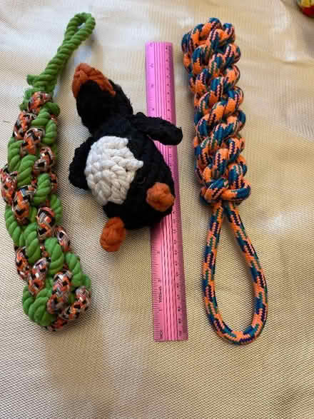 Photo of free Tuggers and toy suit medium dog (Bedford MK40) #1