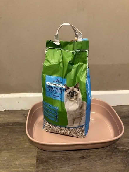 Photo of free Cat litter tray/bag of cat litter (Emerson Valley MK4) #1