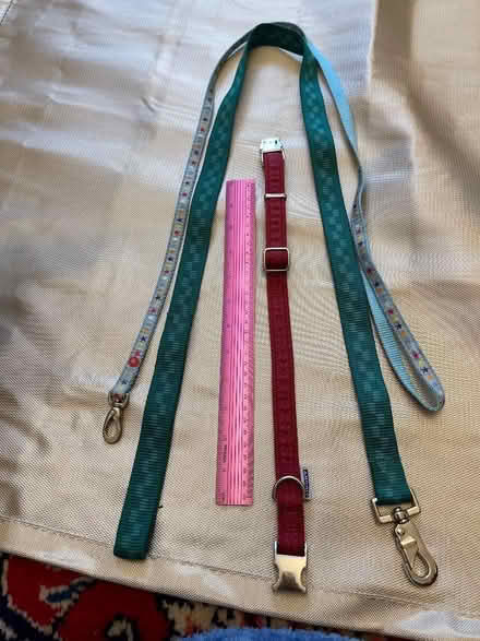 Photo of free Dog collar, dog lead and puppy lead (Bedford MK40) #1