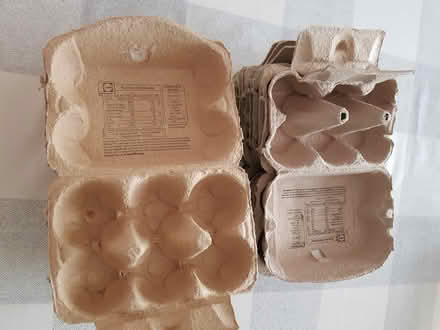Photo of free Egg boxes (Goldington, Bedford) #1