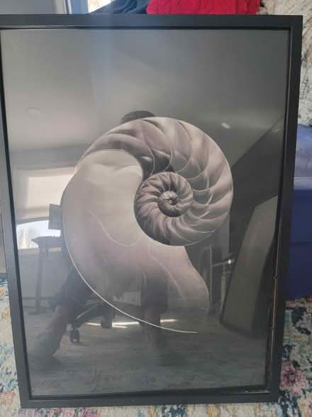 Photo of free Posters (Wilbraham, MA) #2