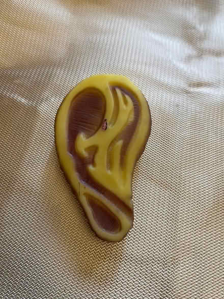 Photo of free Dog toys - small to medium dog or puppy. (Bedford MK40) #1