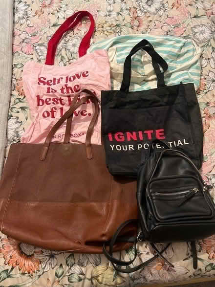 Photo of free 5x bags (Staines TW18) #1