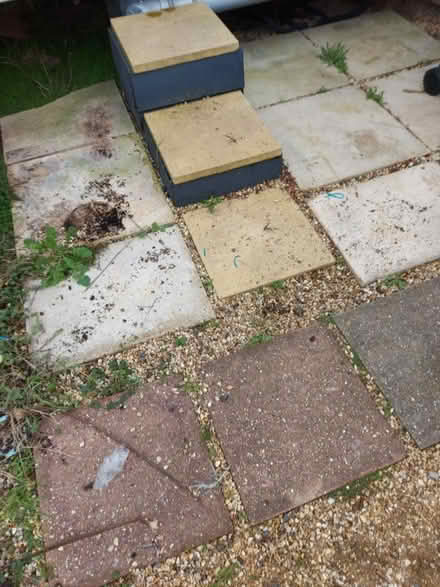 Photo of free Paving slabs (Littlehampton) #1