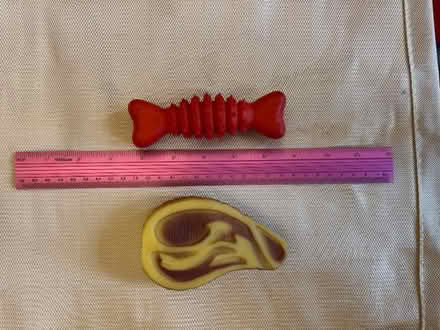 Photo of free Dog toys - small to medium dog or puppy. (Bedford MK40) #2
