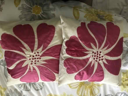 Photo of free pair bedroom cushions (near leigh sinton road) #1