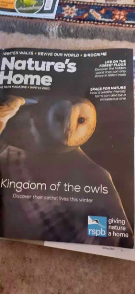 Photo of free RSPB magazines (Wells BA5)