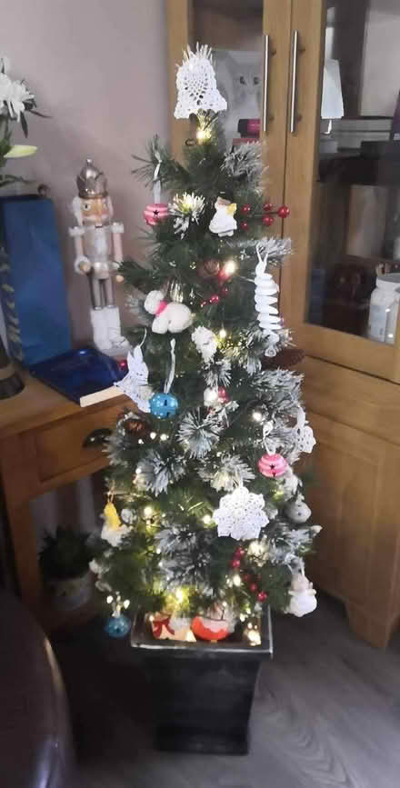 Photo of free Xmas tree with the stand (St Nicholas SG1) #1