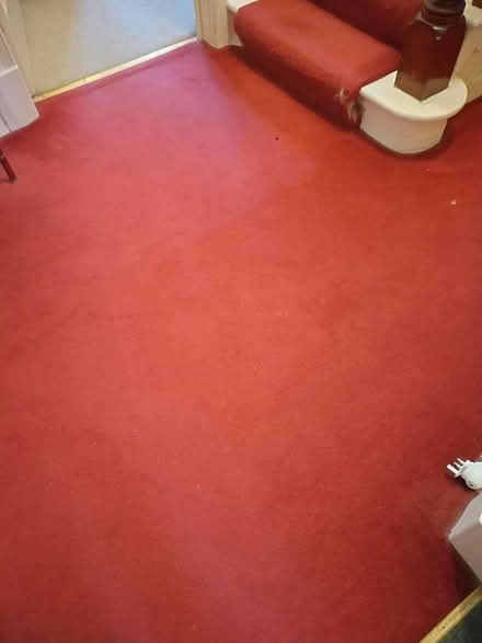 Photo of free Carpets & Underlay (Nooklands PR2) #4