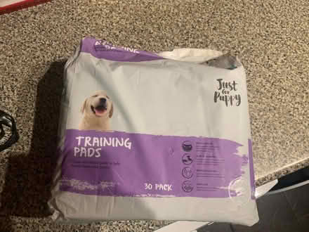 Photo of free Puppy training pads (Whitnash CV31) #1