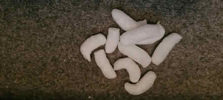 Photo of Packing foam chips / noodles /peanuts (Morningside EH10) #1