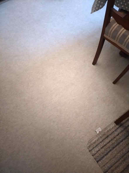 Photo of free Carpets & Underlay (Nooklands PR2) #2