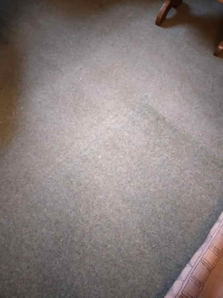 Photo of free Carpets & Underlay (Nooklands PR2) #3