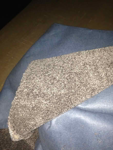 Photo of free Living room carpet (Blackburn BB2) #1