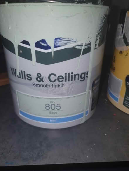 Photo of free Emulsion paint mint green (Parsons cross S5) #1