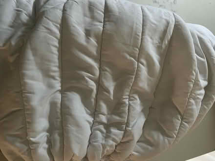 Photo of free Twin size mattress pad (Assumption) #1