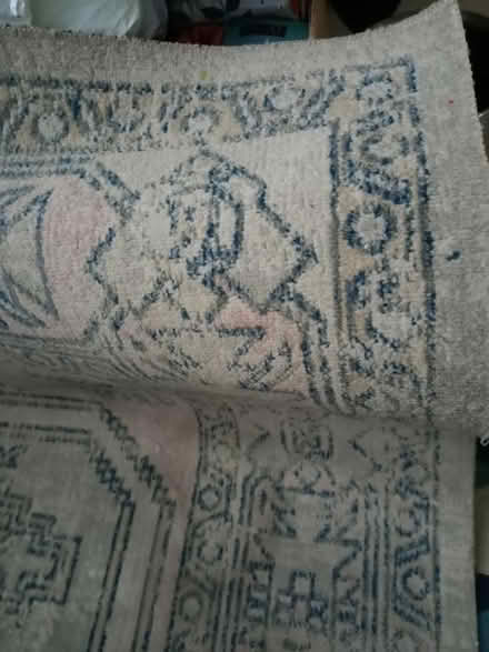 Photo of free Rug (Kingsholm GL1) #3