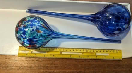 Photo of free Blown glass drip-watering globes (North City part of Shoreline) #1