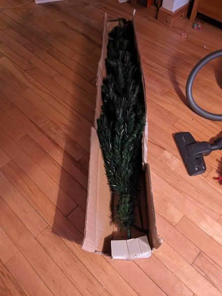 Photo of free Christmas tree (Bracknell Forest RG12) #4