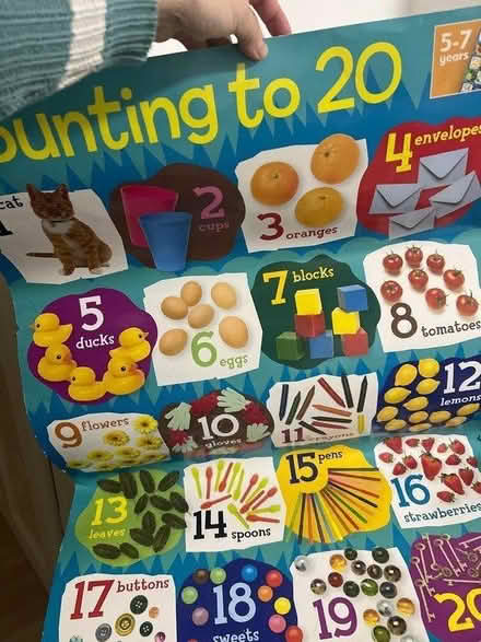Photo of free Counting to 20 chart (croydon) #1