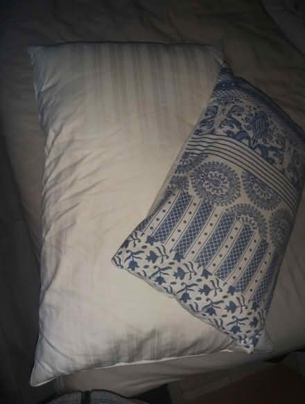 Photo of free pillows (South Tottenham N15) #1