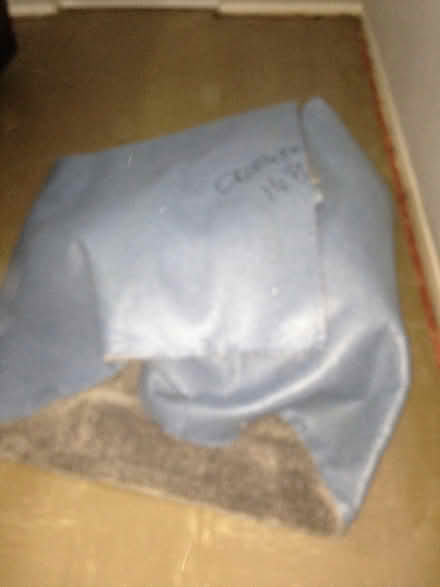 Photo of free Living room carpet (Blackburn BB2) #2