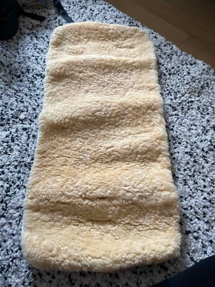 Photo of free Sheepskin buggy liner (Islington N1) #1