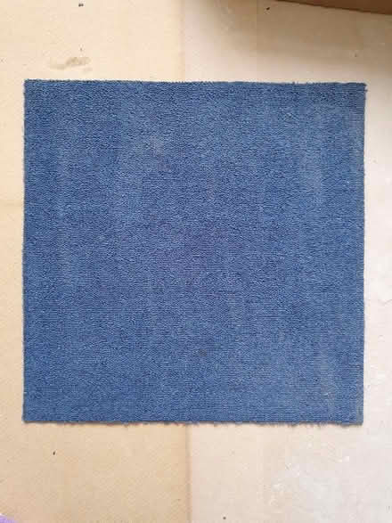 Photo of free Blue carpet tiles (Crookes S10) #1