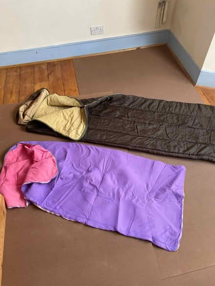 Photo of free Lilac and green sleeping bags (Stoke Newington N16) #1