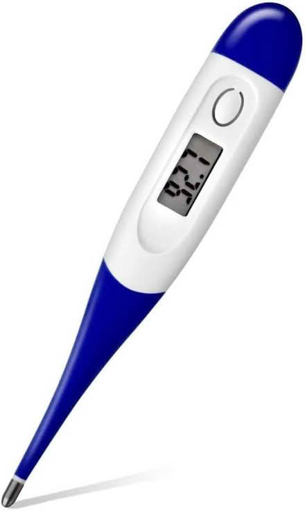 Photo of body / ear thermometer (Saint Philip's S1) #2