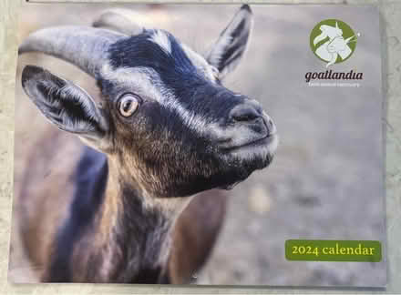 Photo of free Goatlandia Calendar (Oradell) #1