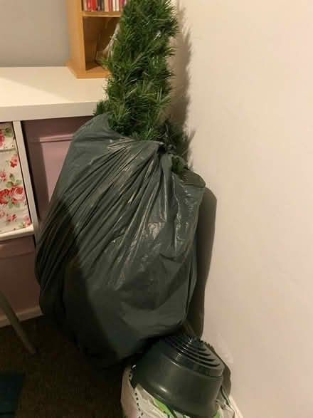 Photo of free Fibre optic tree (Horfield) #1
