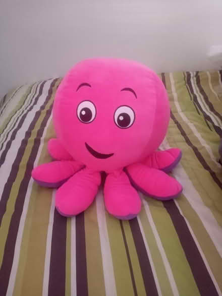 Photo of free Octopus Soft Toy (Chaddesden DE21) #1