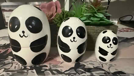 Photo of free Nesting Pandas (Oakland) #2