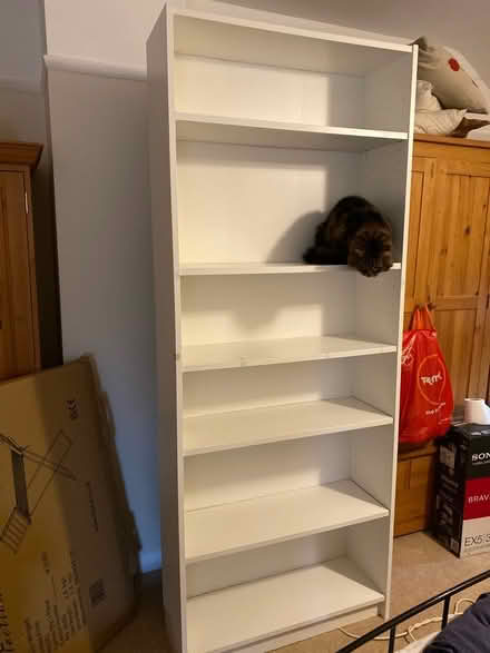 Photo of free Tall ikea shelf’s (Norwich nr1) #1