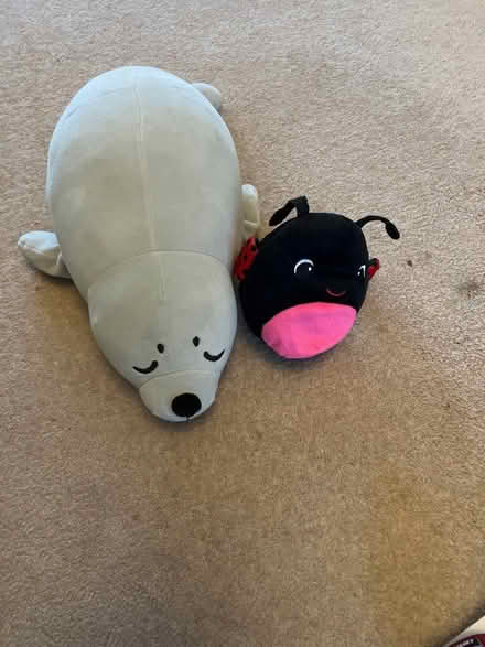 Photo of free Soft seal and ladybug (Weston, crewe) #1