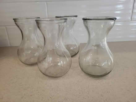 Photo of free Bulb jars (Severn) #1