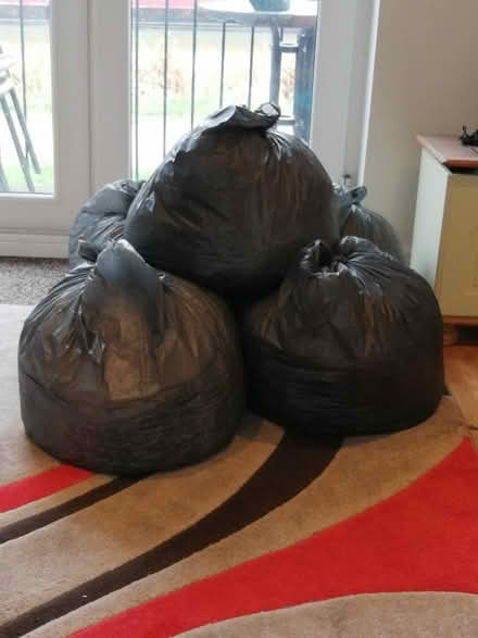 Photo of free Shredded paper in big black bin liners (Linslade LU7) #1