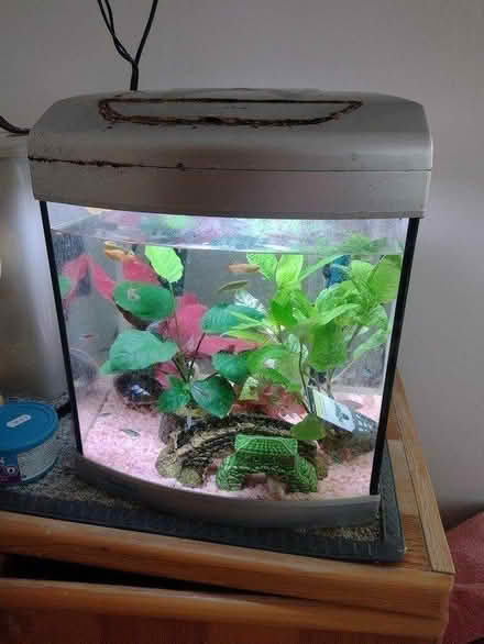 Photo of free Aquarium,.full working order (Melbourn Royston) #2