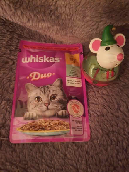 Photo of free Cat bed, Toy and 1 pouch of food. (Denmead PO7) #1