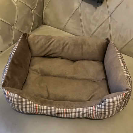 Photo of free Cat bed (Hackney, E8) #1