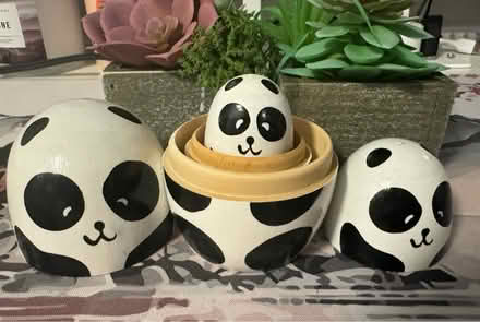 Photo of free Nesting Pandas (Oakland) #3