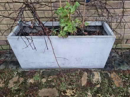 Photo of free Planters (Glenageary) #1