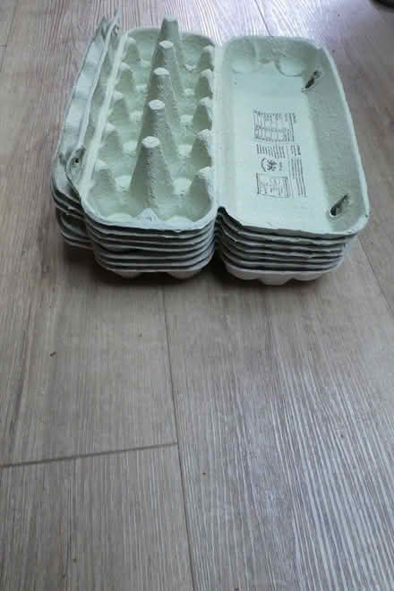Photo of free Empty Eggs boxes (6, 10, 15) (Cambridge, CB1) #3