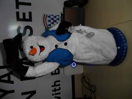 Photo of free Christmas dec (Fawkham DA3) #1