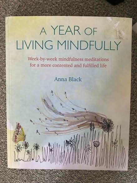 Photo of free mindfulness book (Ilford IG6) #1
