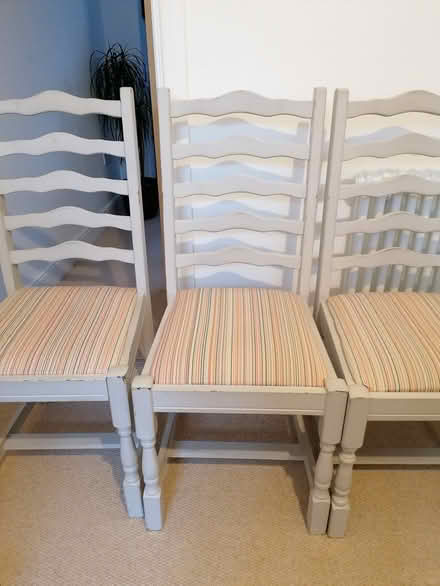 Photo of free Dining chairs (Earlsdon, CV5) #2