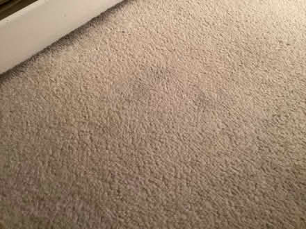 Photo of free Carpet (IP9) #1